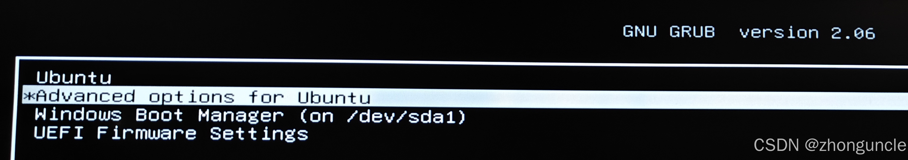 GRUB menu showing Advanced Options