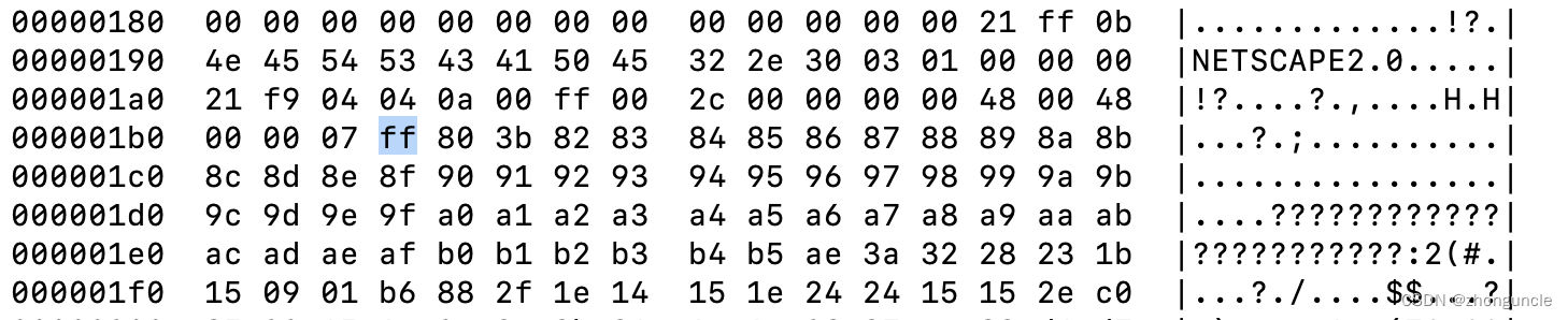 The ff in the picture indicates that the next piece of data is 255 bytes