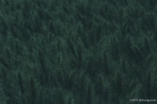 Software encoding quality comparison (close-up)