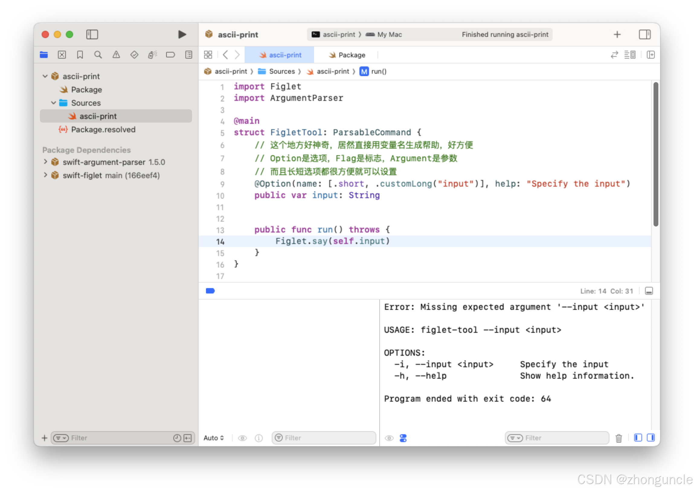 Xcode console area where options/arguments cannot be input