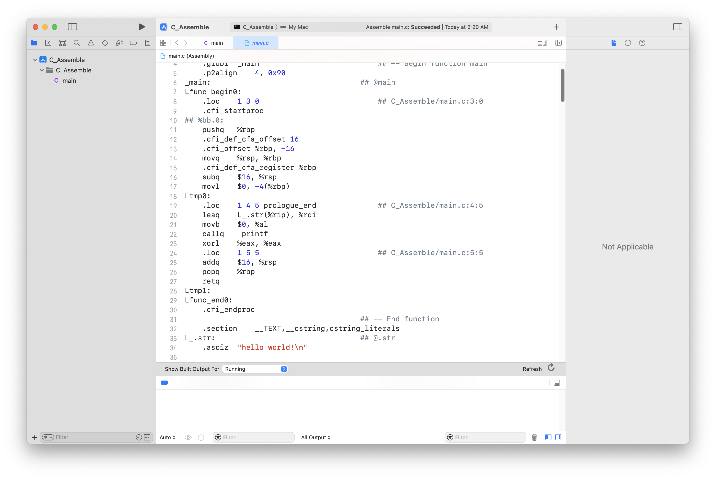 Assembly code generated by Xcode