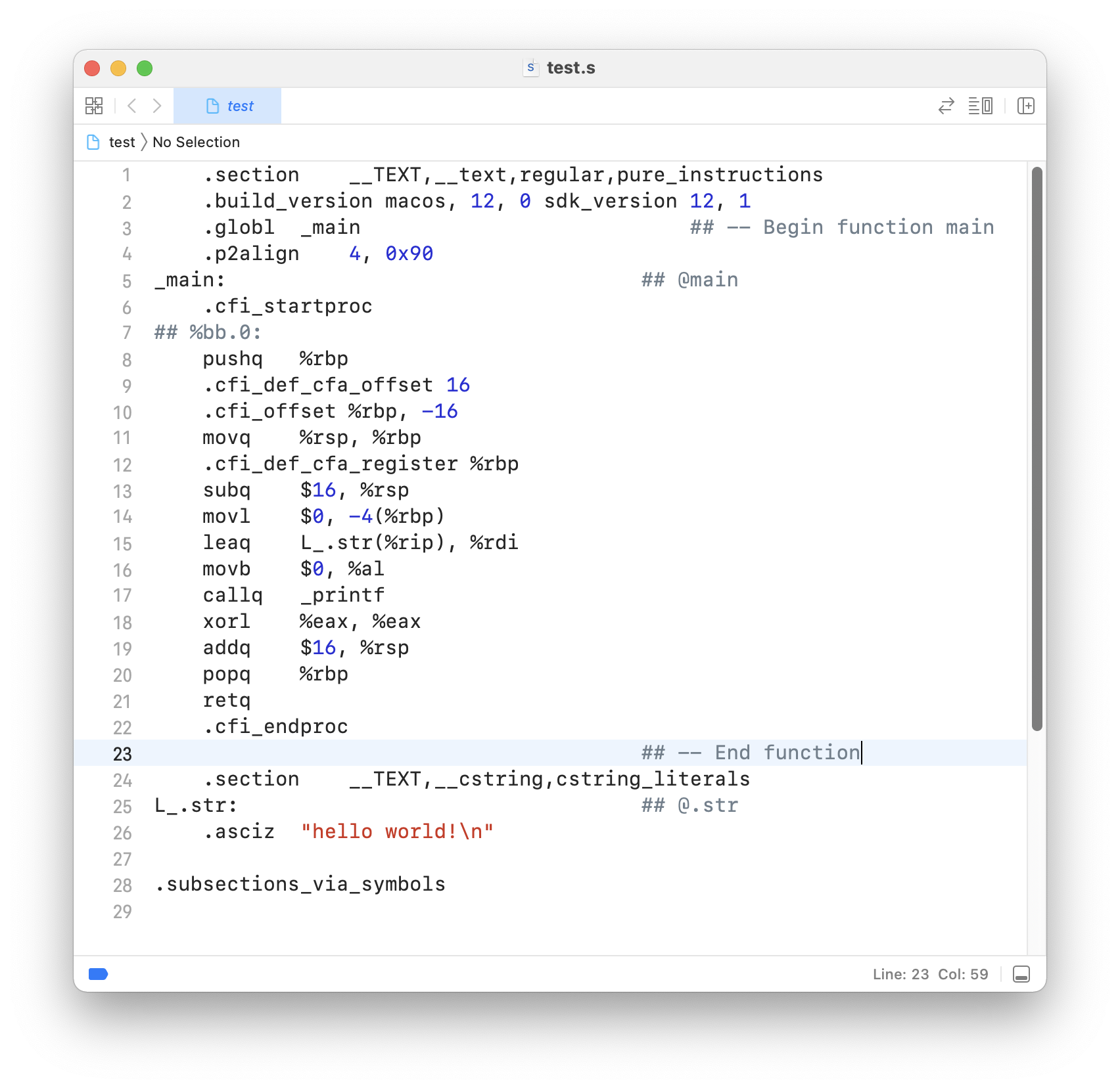 Contents of the assembly code file generated using the above command