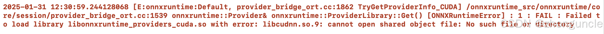 ONNX Runtime error showing missing libcudnn.so.9