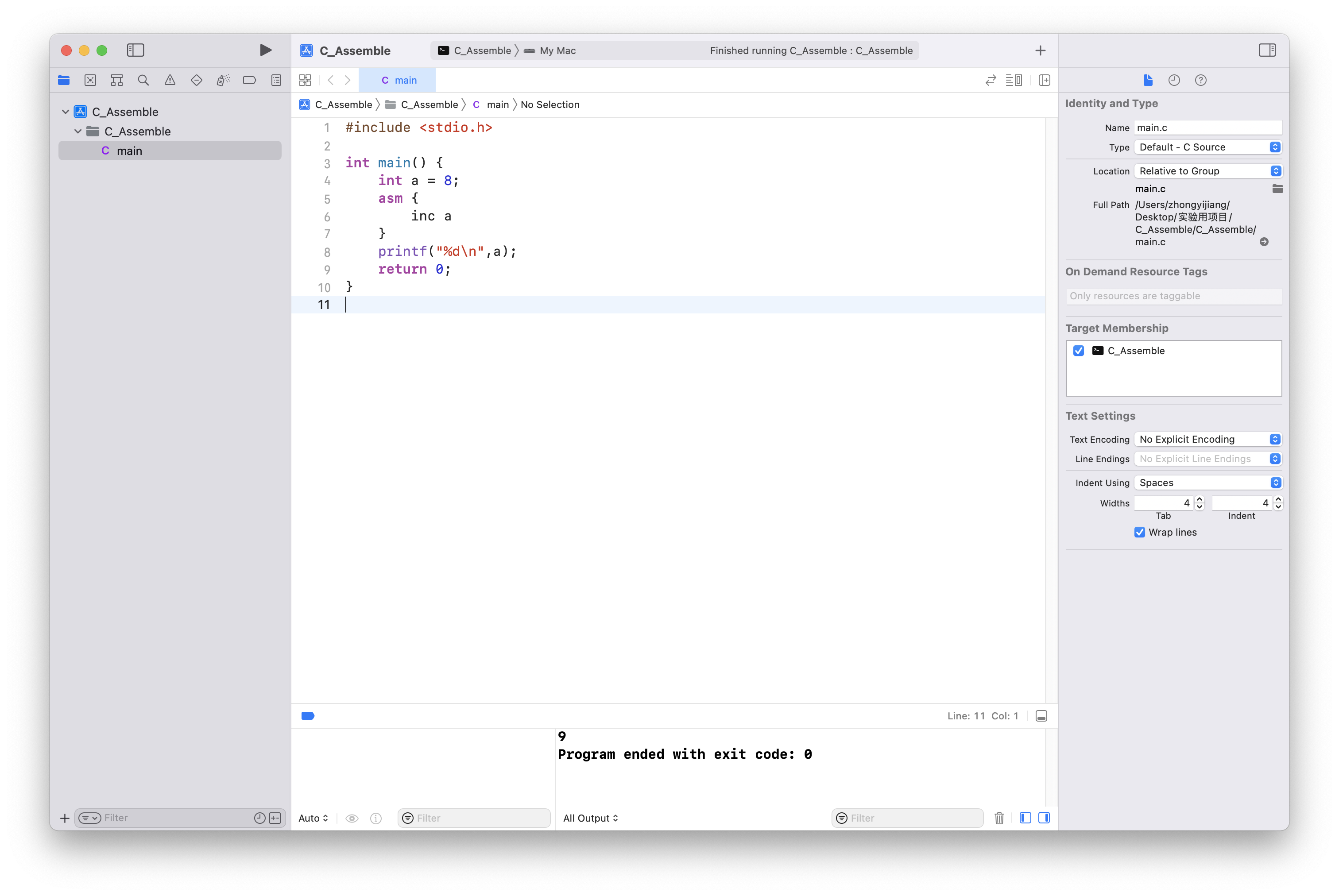 write assembly code in Xcode