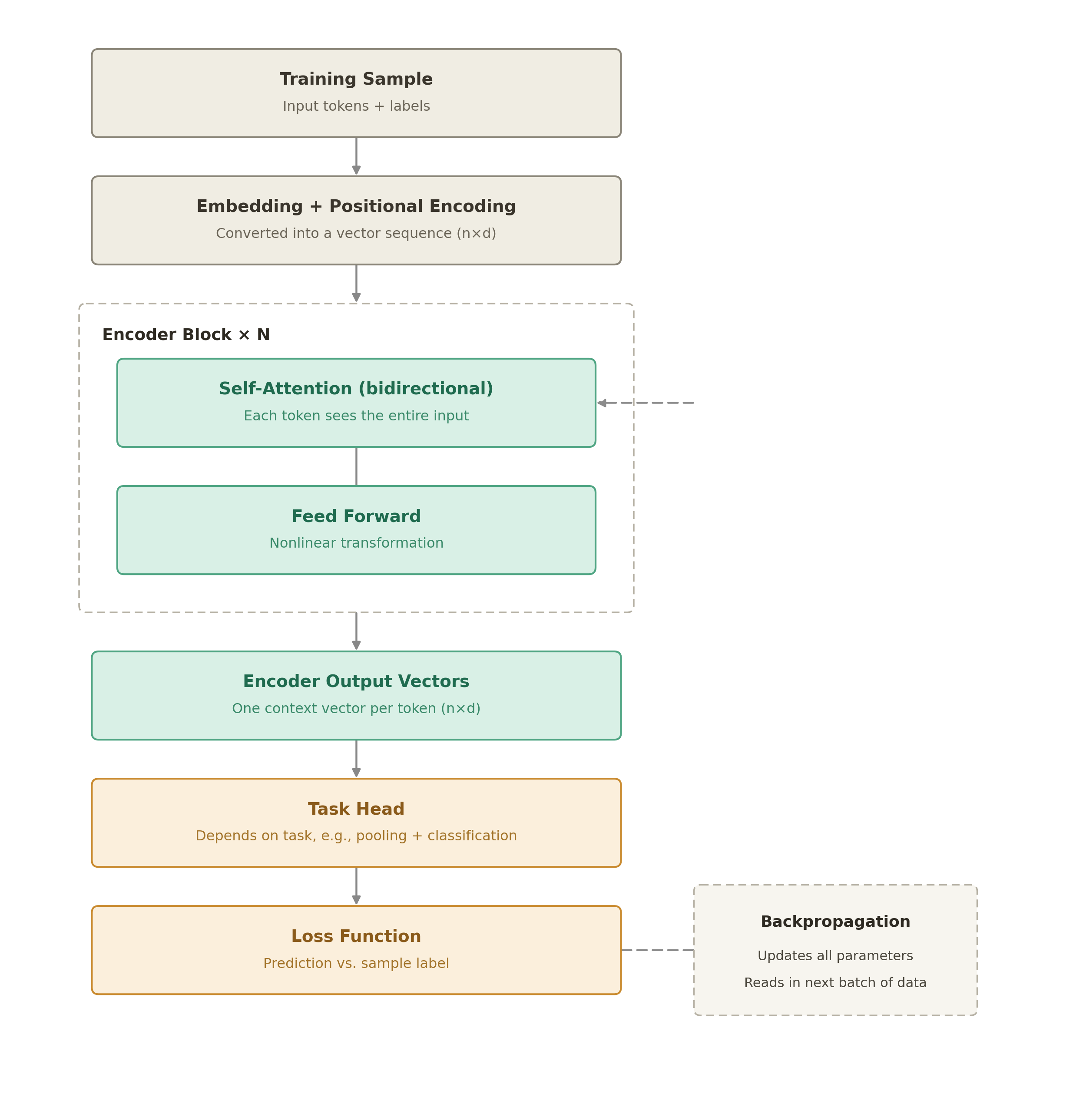 Encoder-only Transformer during training